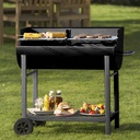 BBQ GRILL WN-G03